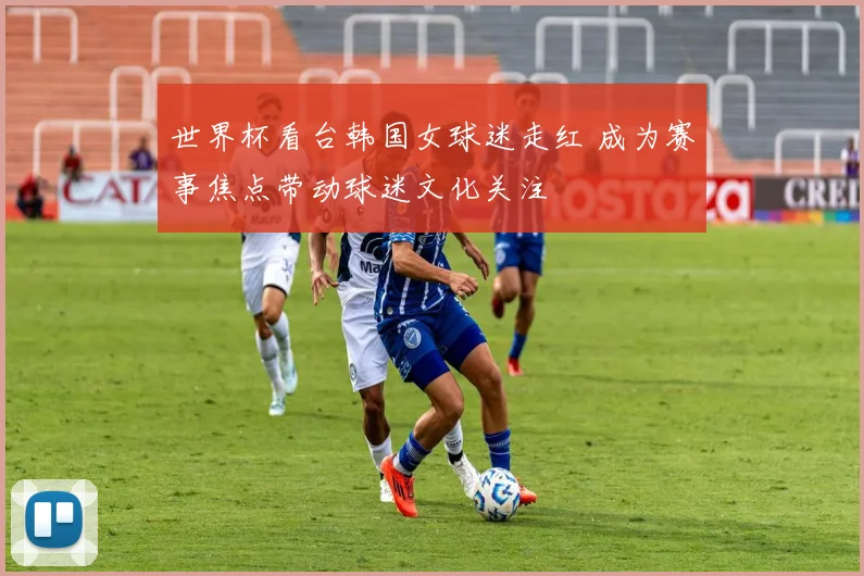 世界杯看台韩国女球迷走红 成为赛事焦点带动球迷文化关注