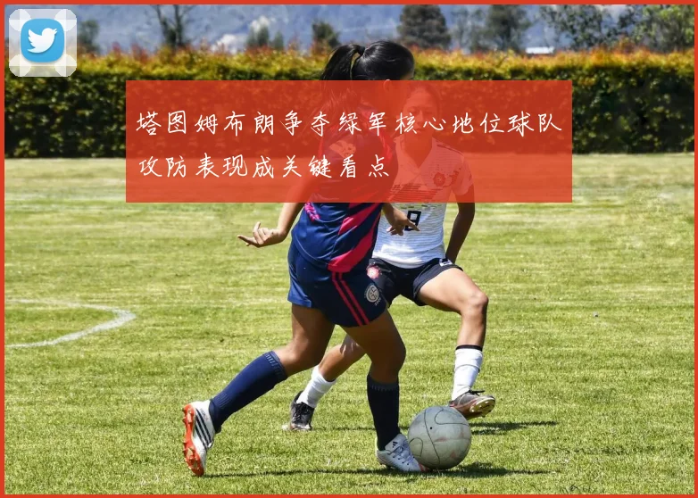 塔图姆布朗争夺绿军核心地位球队攻防表现成关键看点
