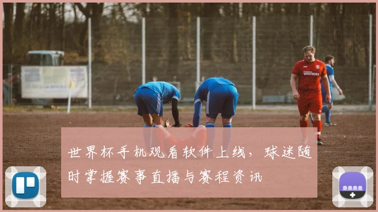 世界杯手机观看软件上线，球迷随时掌握赛事直播与赛程资讯