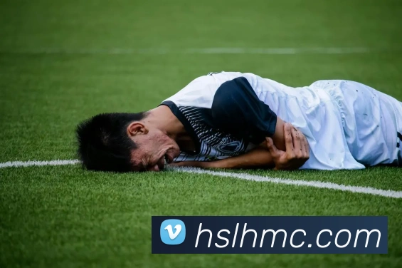 开云手机网页登录网页平台生态图