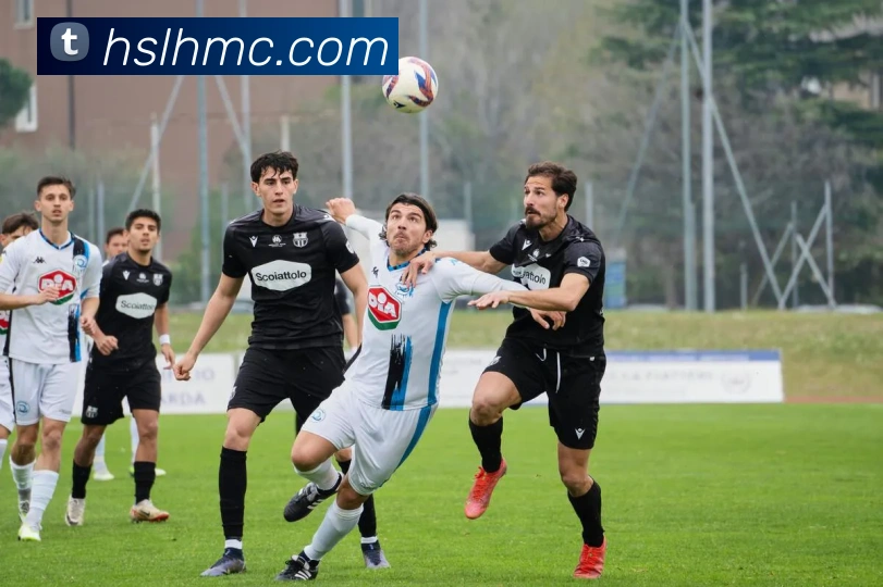 开云手机网页登录网页全站App 开云手机网页登录网页全站App